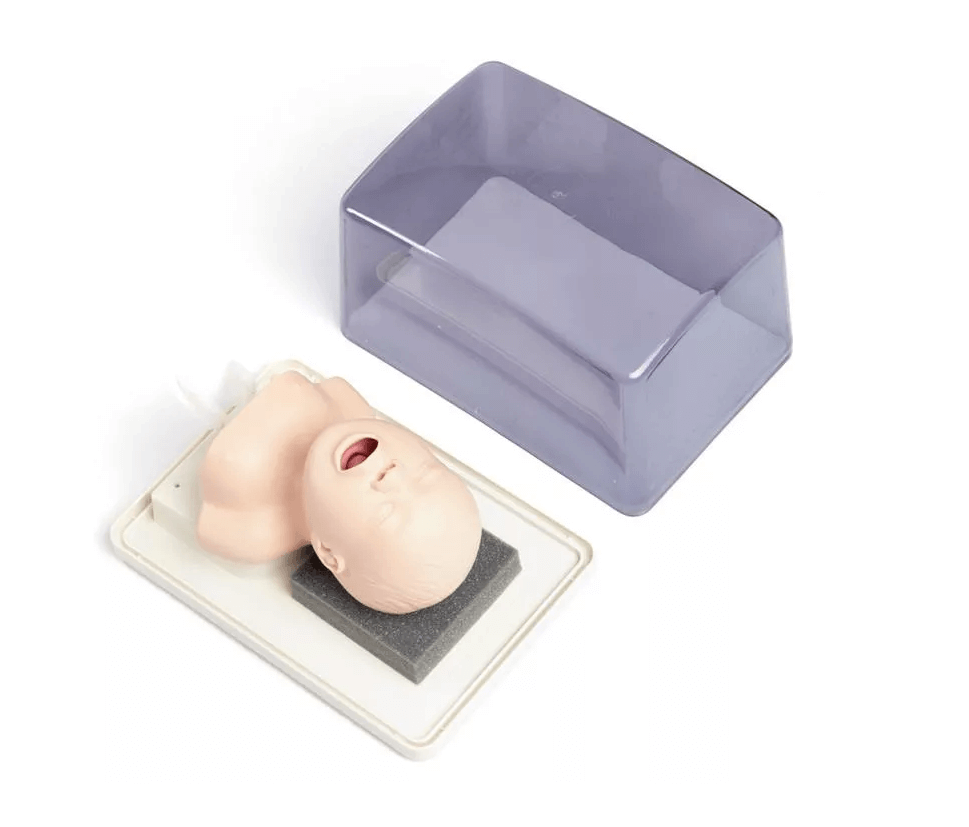 Säuglings Intubationstrainer - Erler - Zimmer